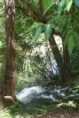 /album/queren%c3%a7a%20%26%20fonte%20benemola%20/activity-algarve-15-jpg/